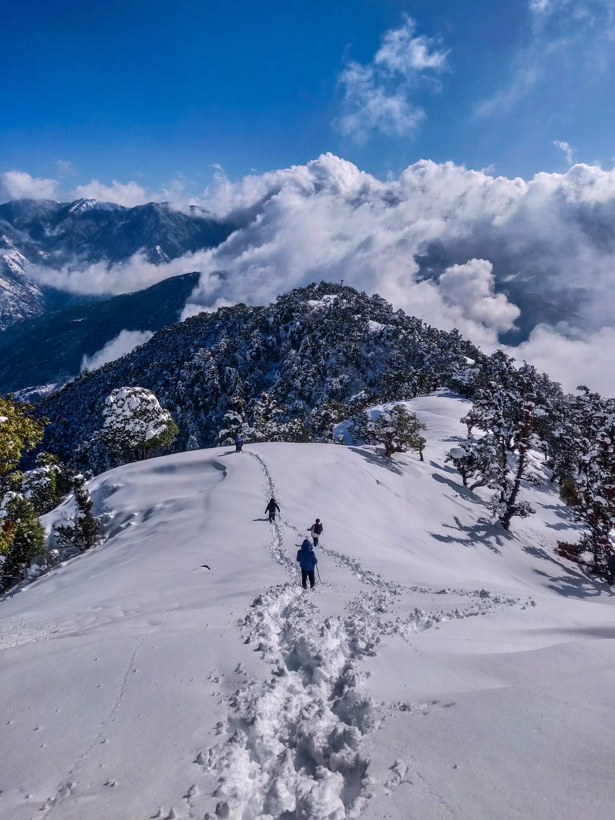Gilbert Trail Kasauli